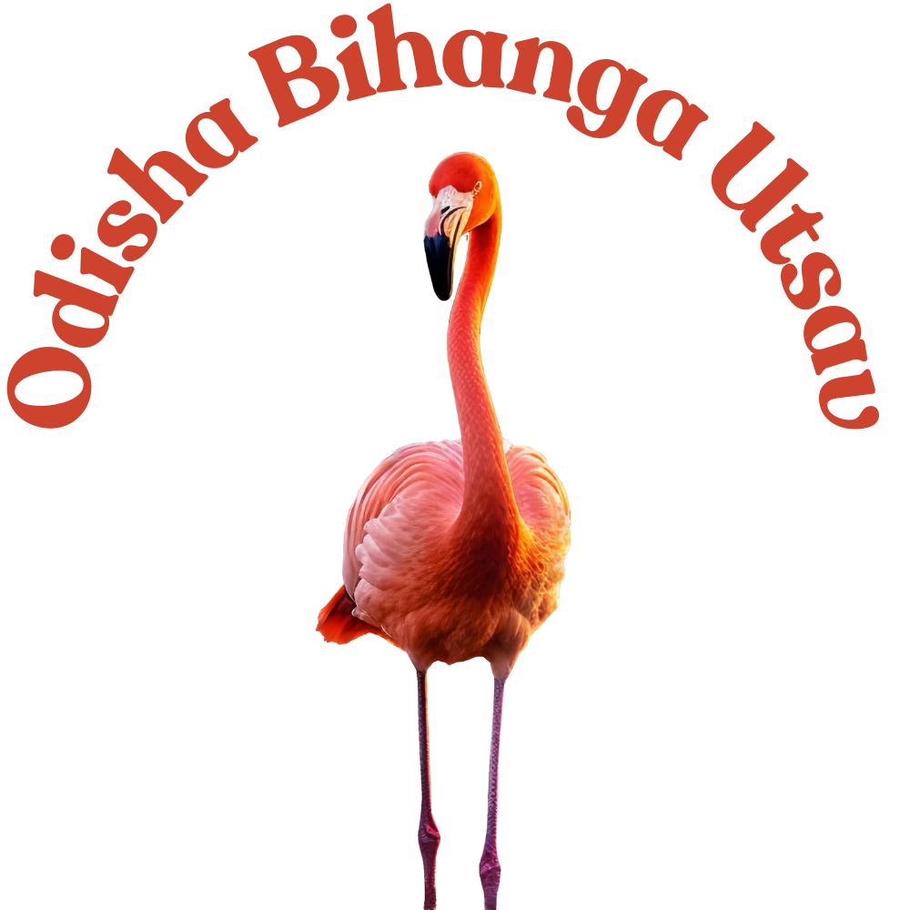 Odisha Bihanga Festival
